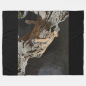 Lion Fleece Blanket Deken (Voorkant (Horizontaal))