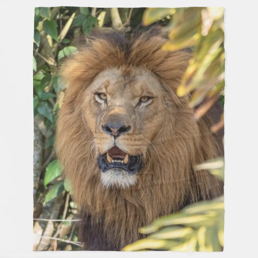 Lion Fleece Blanket Deken (Voorkant)