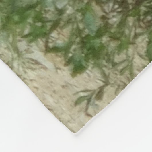 Lion Fleece Blanket Deken (Hoek)