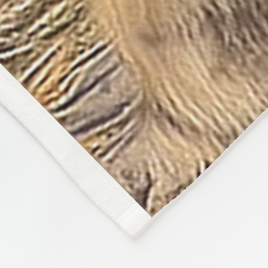 Lion Fleece Blanket Deken (Hoek)