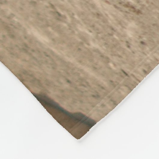 Lion Fleece Blanket Deken (Hoek)