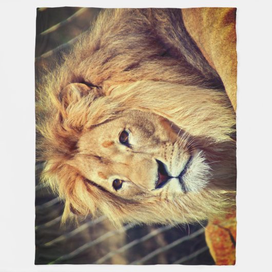 Lion Fleece Deken (Voorkant)