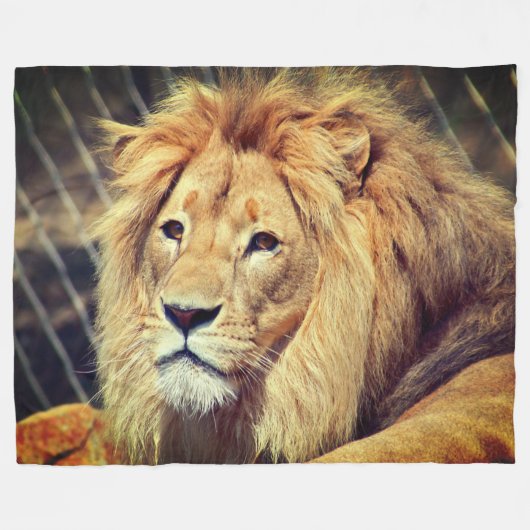 Lion Fleece Deken (Voorkant (Horizontaal))