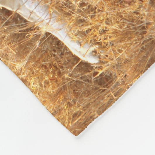 Lion Fleece Deken (Hoek)