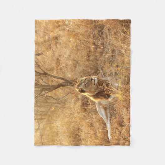 Lion Fleece Deken (Voorkant)