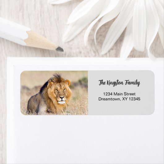 Lion foto aangepast Return Address Label (Insitu)