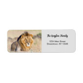 Lion foto aangepast Return Address Label (Voorkant)