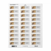 Lion foto aangepast Return Address Label (Full Sheet)