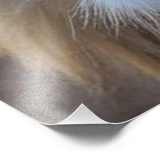 Lion Foto Afdruk (Hoek)