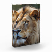 Lion Fotoblokken (Links)