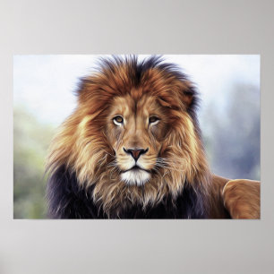 LION FOTOGRAPHY POSTER