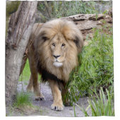 Lion fotoprint douchecabine douchegordijn (Voorkant)
