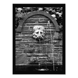 Lion Fountain Foto Afdruk