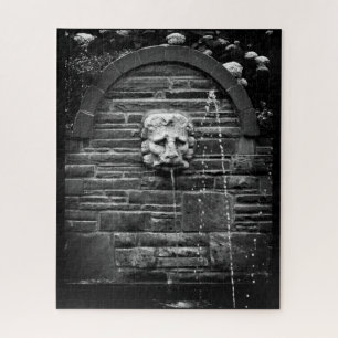 Lion Fountain Legpuzzel