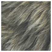Lion Fur Stof (Close Up)