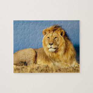 Lion Game Puzzle Legpuzzel