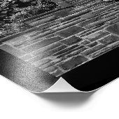 Lion Garden Foto Afdruk (Hoek)