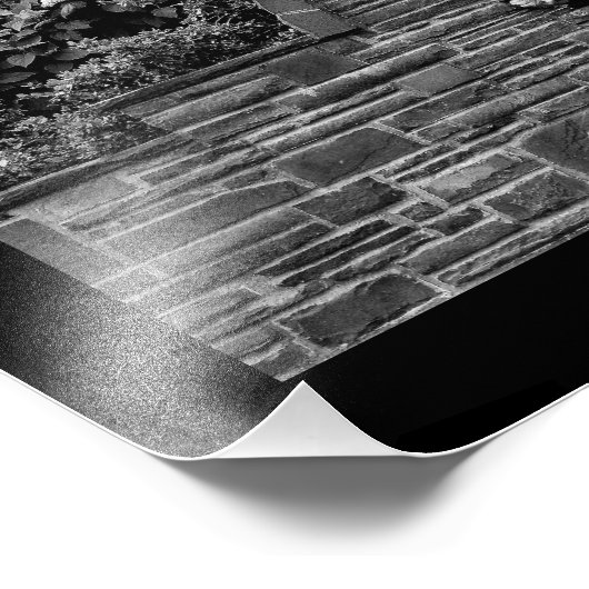 Lion Garden Foto Afdruk (Hoek)