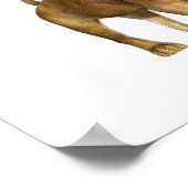 Lion Girl Poster (Hoek)