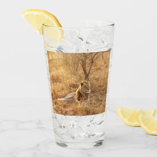 Lion Glas (Voorkant ijs)