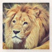 Lion Glazen Onderzetter (Voorkant)