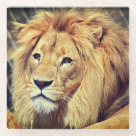 Lion Glazen Onderzetter