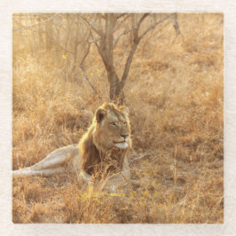 Lion Glazen Onderzetter