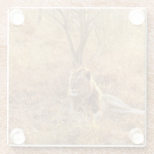 Lion Glazen Onderzetter (Achterkant)