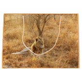 Lion Groot Cadeauzakje (Voorkant)