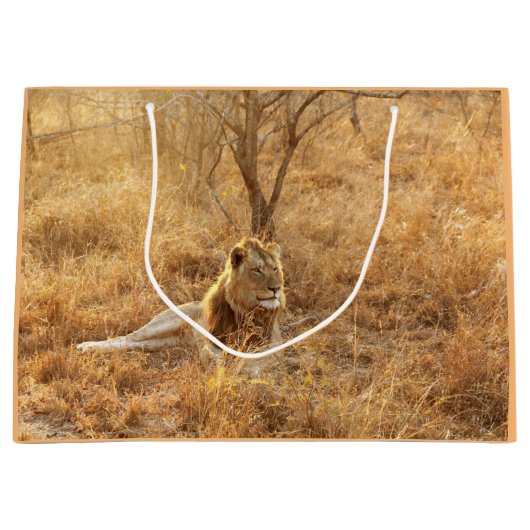 Lion Groot Cadeauzakje (Voorkant)