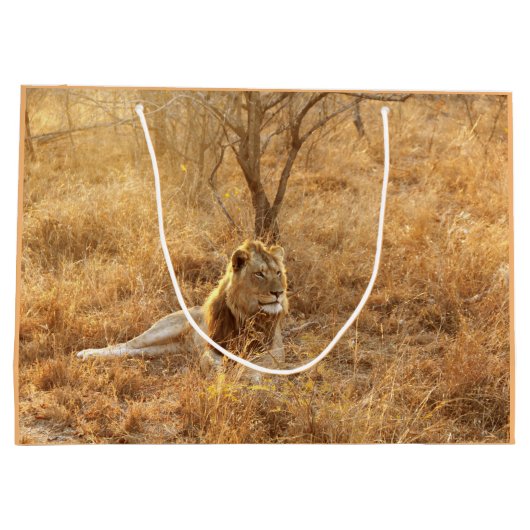 Lion Groot Cadeauzakje (Achterkant)