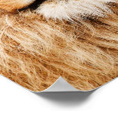 Lion Head Canvas afdrukken Poster (Hoek)