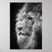Lion Head Mane Zwart-wit Fine Line Art Poster (Voorkant)