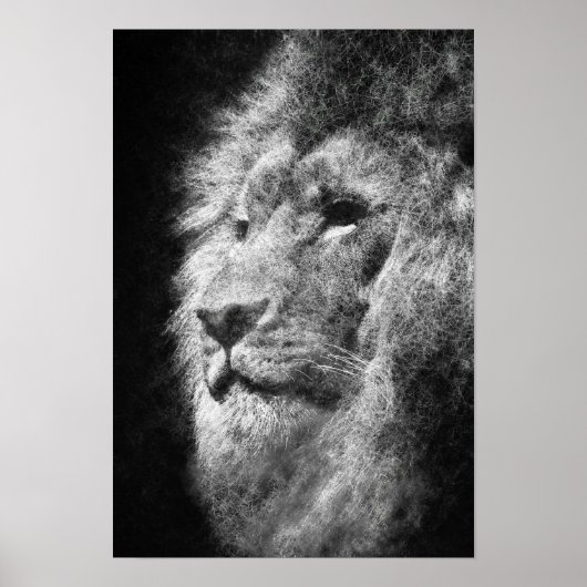 Lion Head Mane Zwart-wit Fine Line Art Poster (Voorkant)