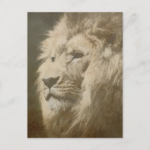 Lion Head of the King Modern Pop Art Sjabloon Anim Briefkaart