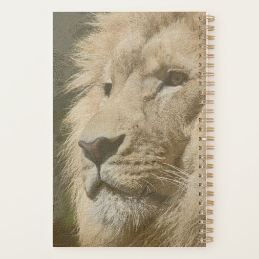 Lion Head Pop Art The King Afbeelding Sjabloon Planner (Achterkant)