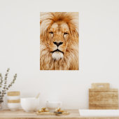 Lion Head Poster (Keuken)