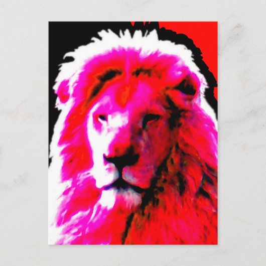 Lion Head Roze briefkaart (Voorkant)