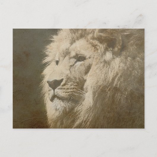 Lion Head the King Modern Pop Art Sjabloon Briefkaart (Voorkant)
