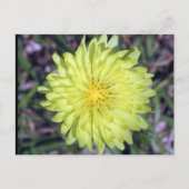 Lion Head Yellow Flower Briefkaart postcrossing (Voorkant)