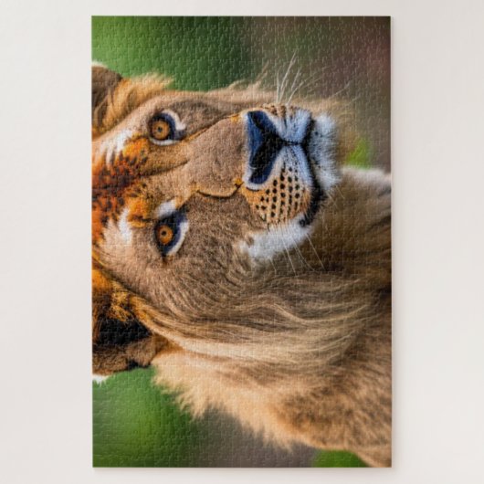 Lion Headshot Legpuzzel (Verticaal)