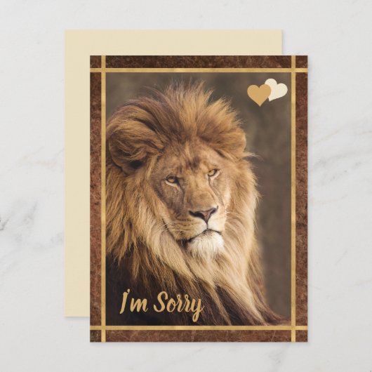 Lion, het spijt me briefkaart (Voorkant / Achterkant)