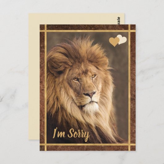 Lion, het spijt me briefkaart (Voorkant / Achterkant)