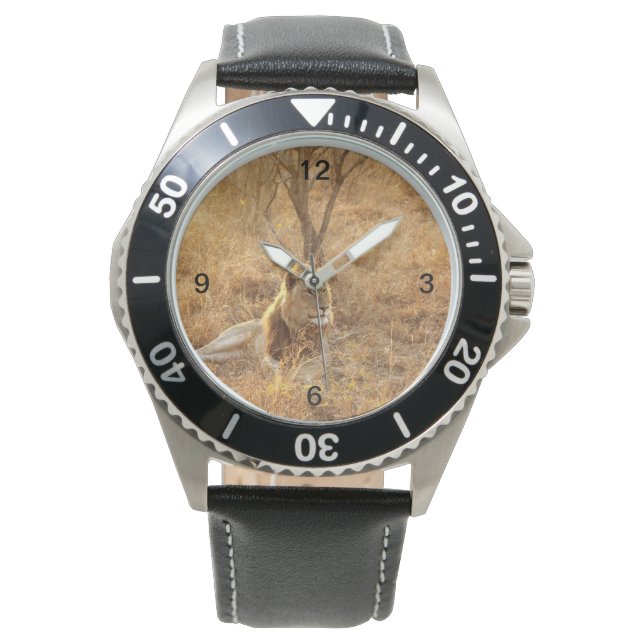 Lion Horloge (Voorkant)