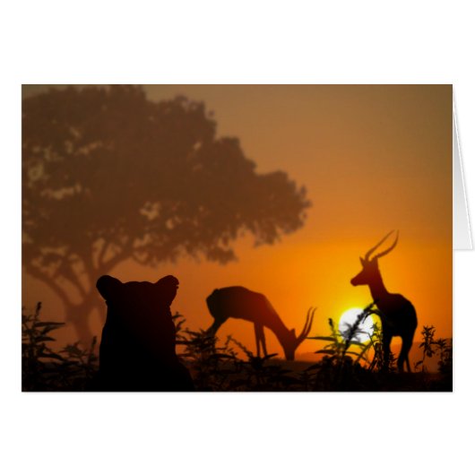 Lion Hunt (Voorkant Horizontaal)