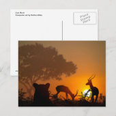 Lion Hunt Briefkaart (Voorkant / Achterkant)