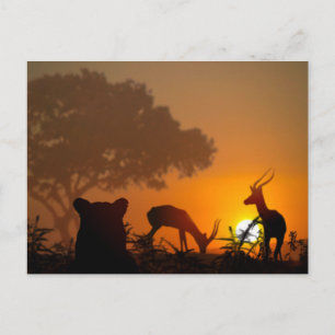 Lion Hunt Briefkaart