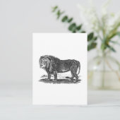  Lion Illustration - 1800's African Animal Briefkaart (Staand voorkant)