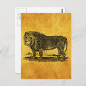  Lion Illustration - 1800's African Animal Briefkaart (Voorkant / Achterkant)