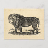 Lion Illustration - 1800's African Animal Briefkaart (Voorkant)